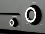 Monitor Audio IWA-250 Subwoofer Amp & 1 x Definitive Technology IWSUB10/10 Driver (Package)